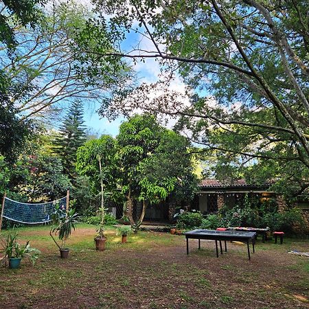 Mad Vervet Nairobi Backpackers Hostel Экстерьер фото